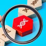 Aile Öyküsü ve Genetik Risk: Bilmeniz Gerekenler