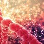 Epigenetik ve Kanser: Genlerimizden Ne Kadar Sorumluyuz?