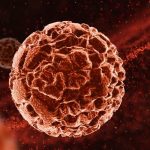 Kan Kanserleri: Türleri, Belirtileri ve Tanı Süreci